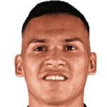 Marcelo Andrés Herrera Mansilla