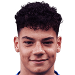 Quinten Van den Heerik