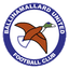 Ballinamallard United