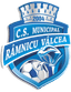 CSM Râmnicu Vâlcea