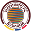 Vinotinto FC