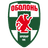 Obolon' Kyiv U19