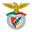 Benfica Castelo Branco