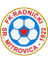 Radnički Sr. Mitrovica