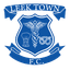 Leek Town