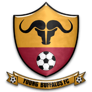 Young Buffaloes