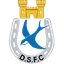 Dungannon Swifts