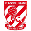 Flackwell Heath FC