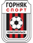 Hirnyk-Sport