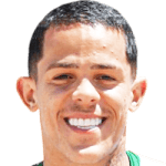 Wallisson Luiz Alves Máximo